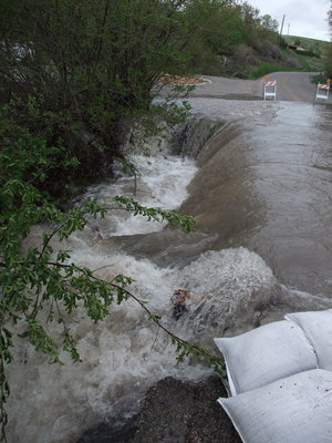 Image: Summit Creek flowing back into the channel.