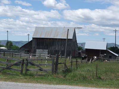 Image: Barn — An old barn east of Lillywhite’s property.