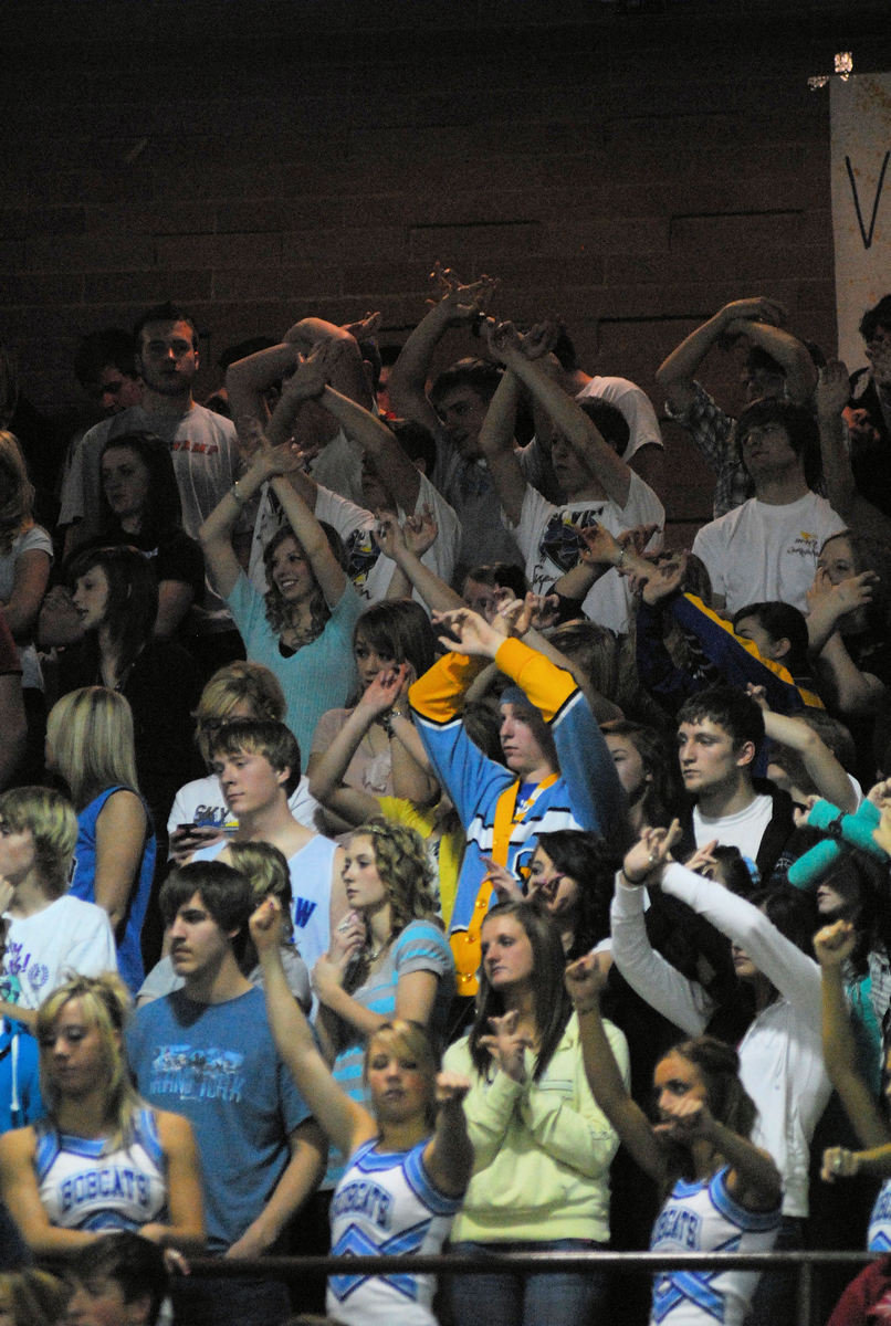 Image: SV Fans cheering on the team