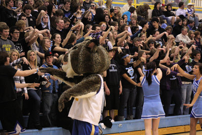 Image: Cheers and Paws — Cheerleaders and Paws pump up Bobcat fans!