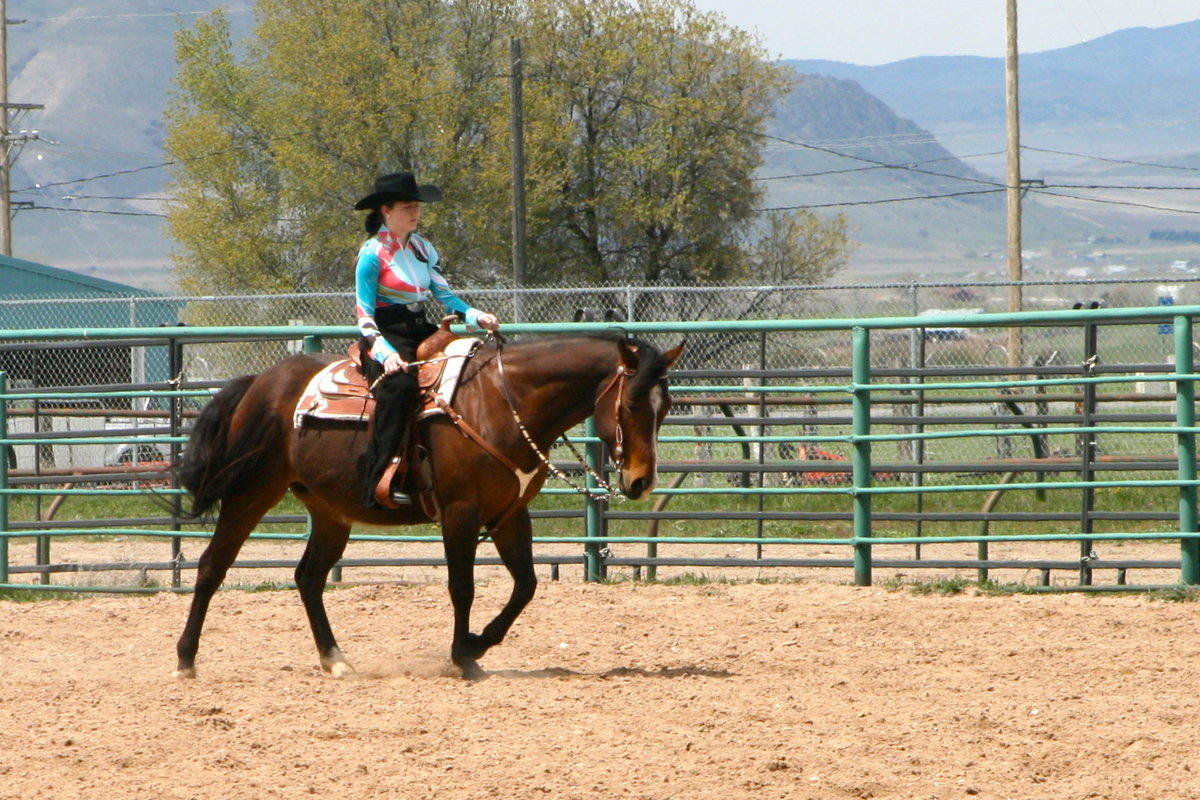 Image: Horse show