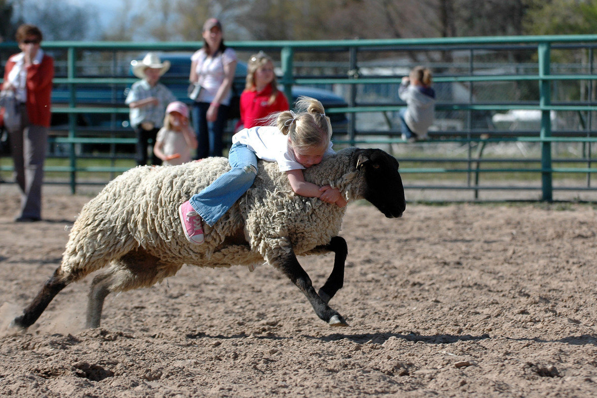 Image: Mutton Bustin’ — Ella Benson, 5-years-old