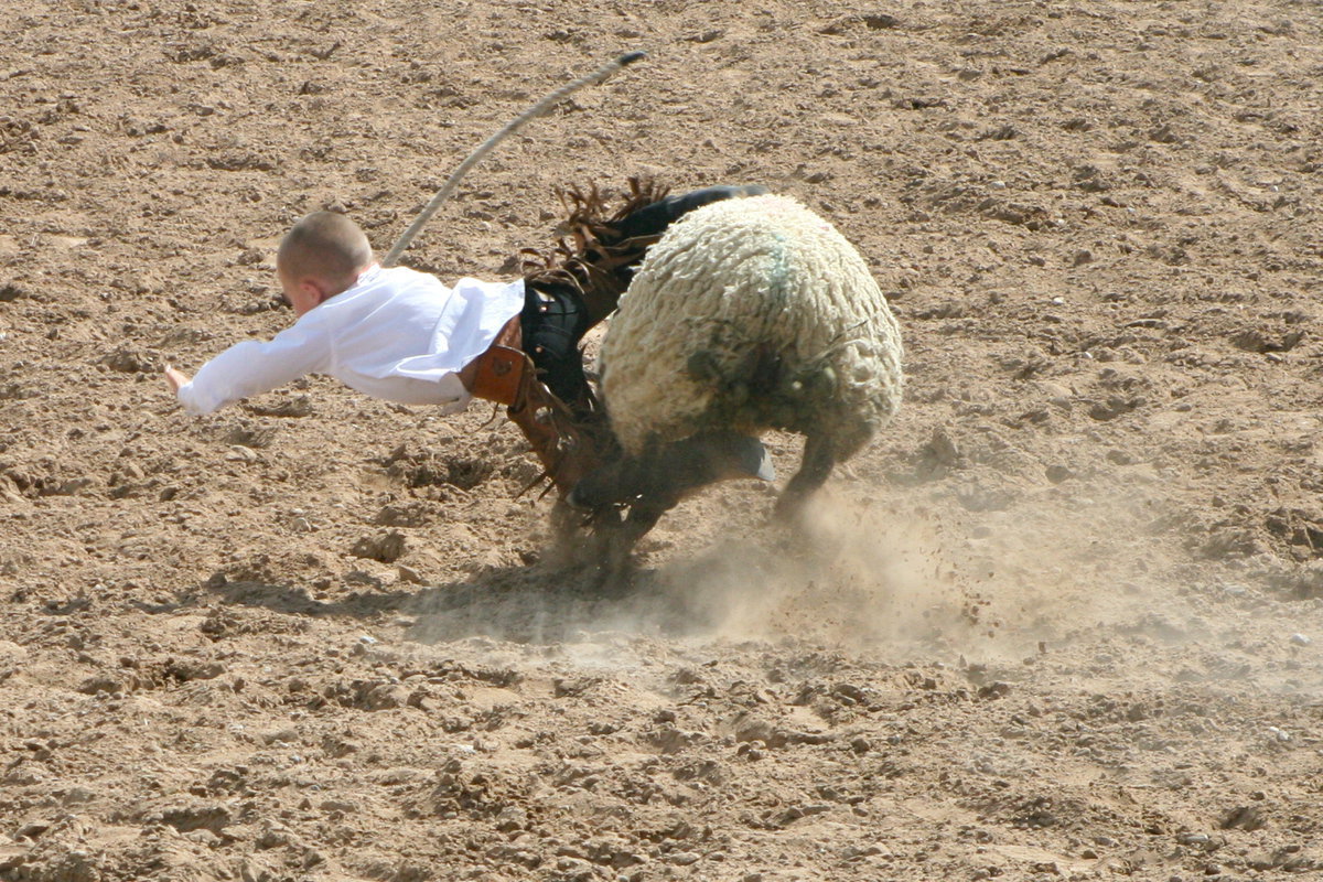 Image: Mutton Bustin’