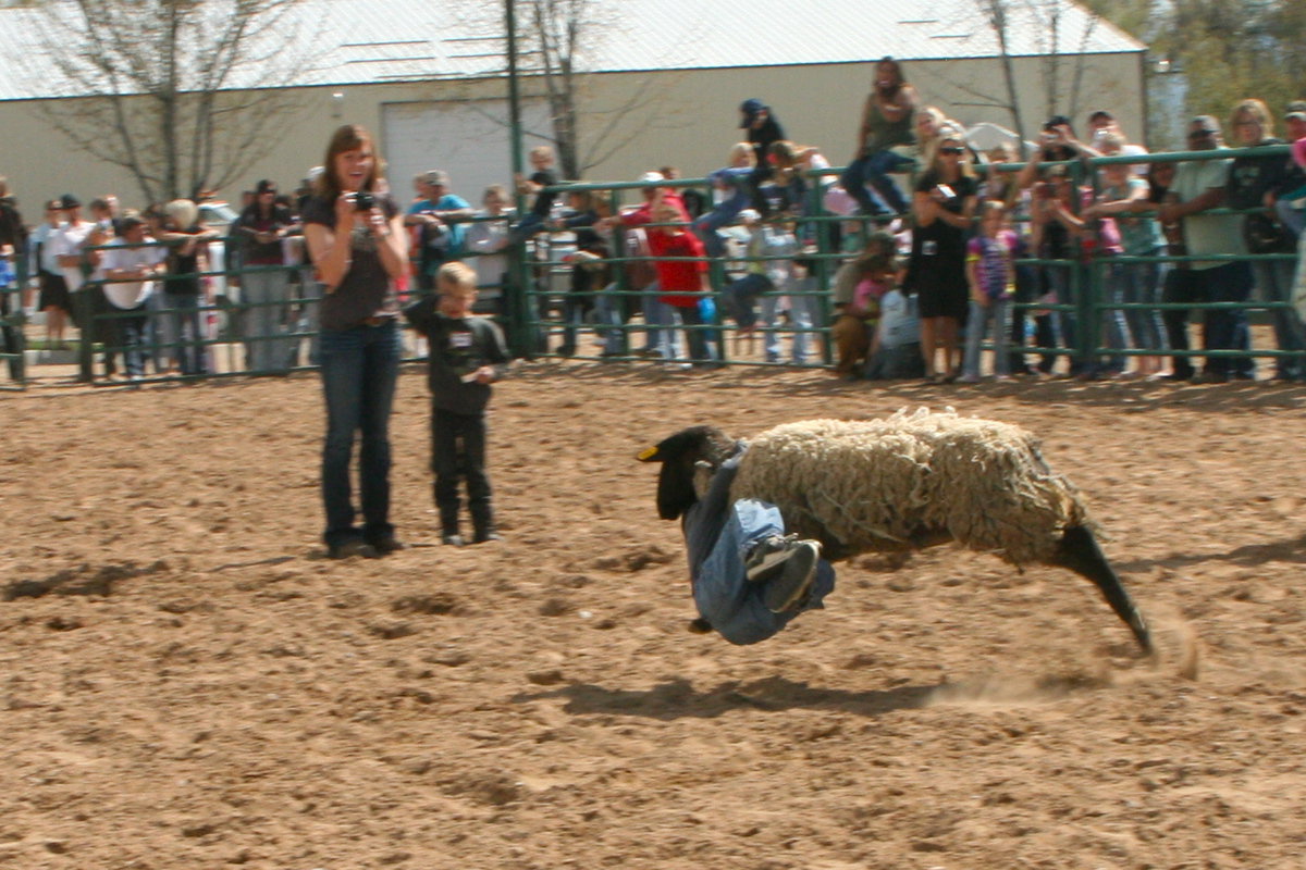 Image: Mutton Bustin’