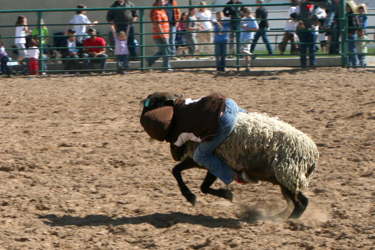 Image: Mutton Bustin’