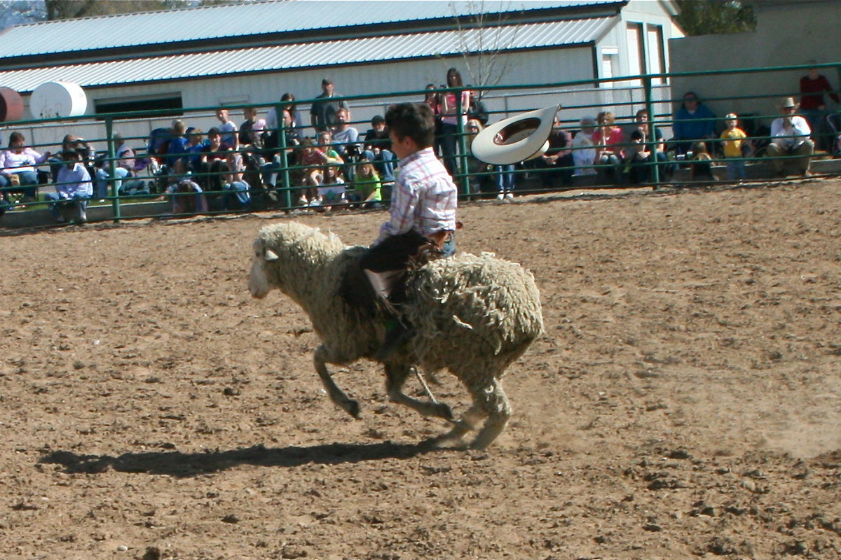 Image: Mutton Bustin’