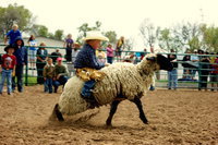 Image: Mutton busting at 2011 Health Days Rodeo
