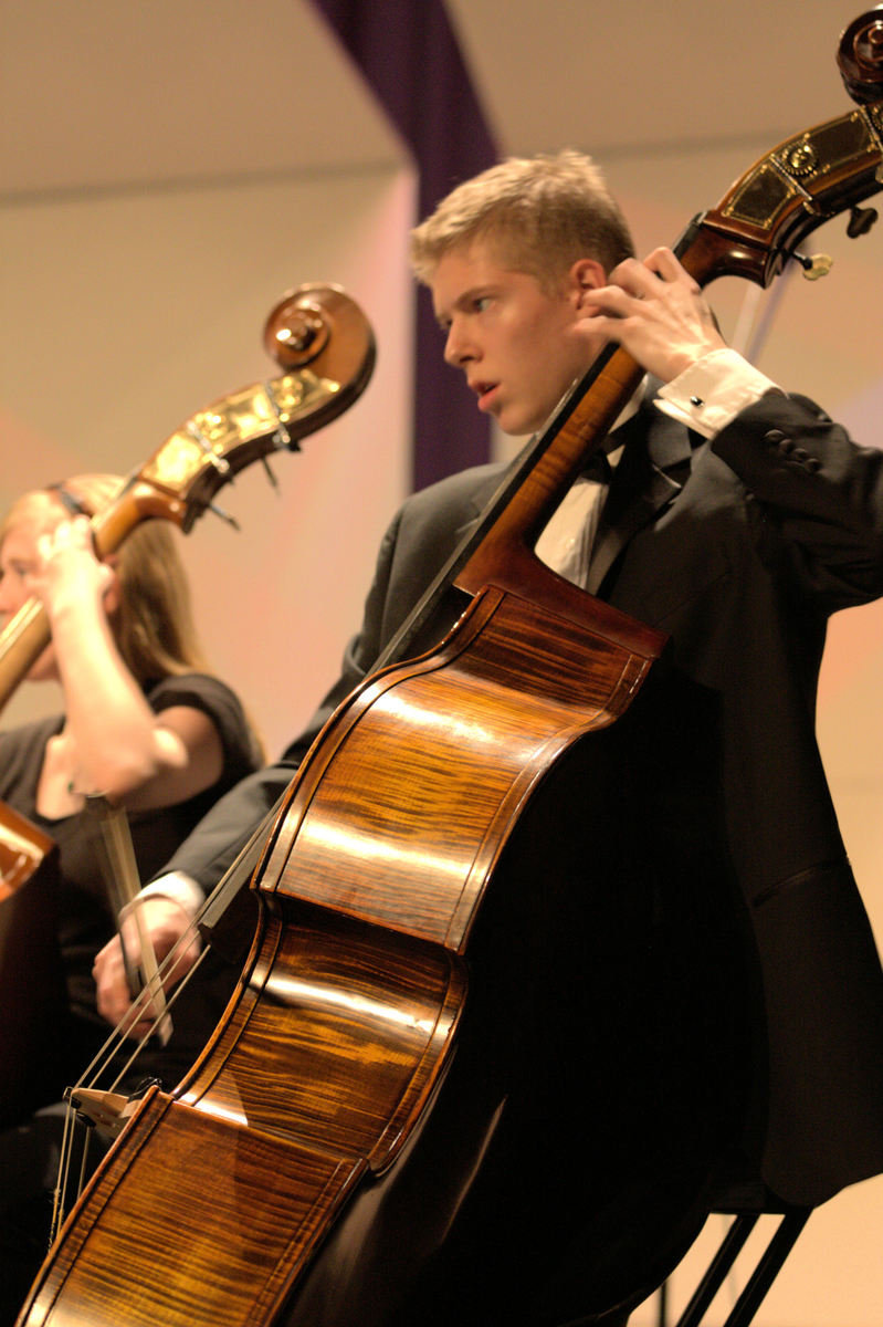 Image: String Orchestra