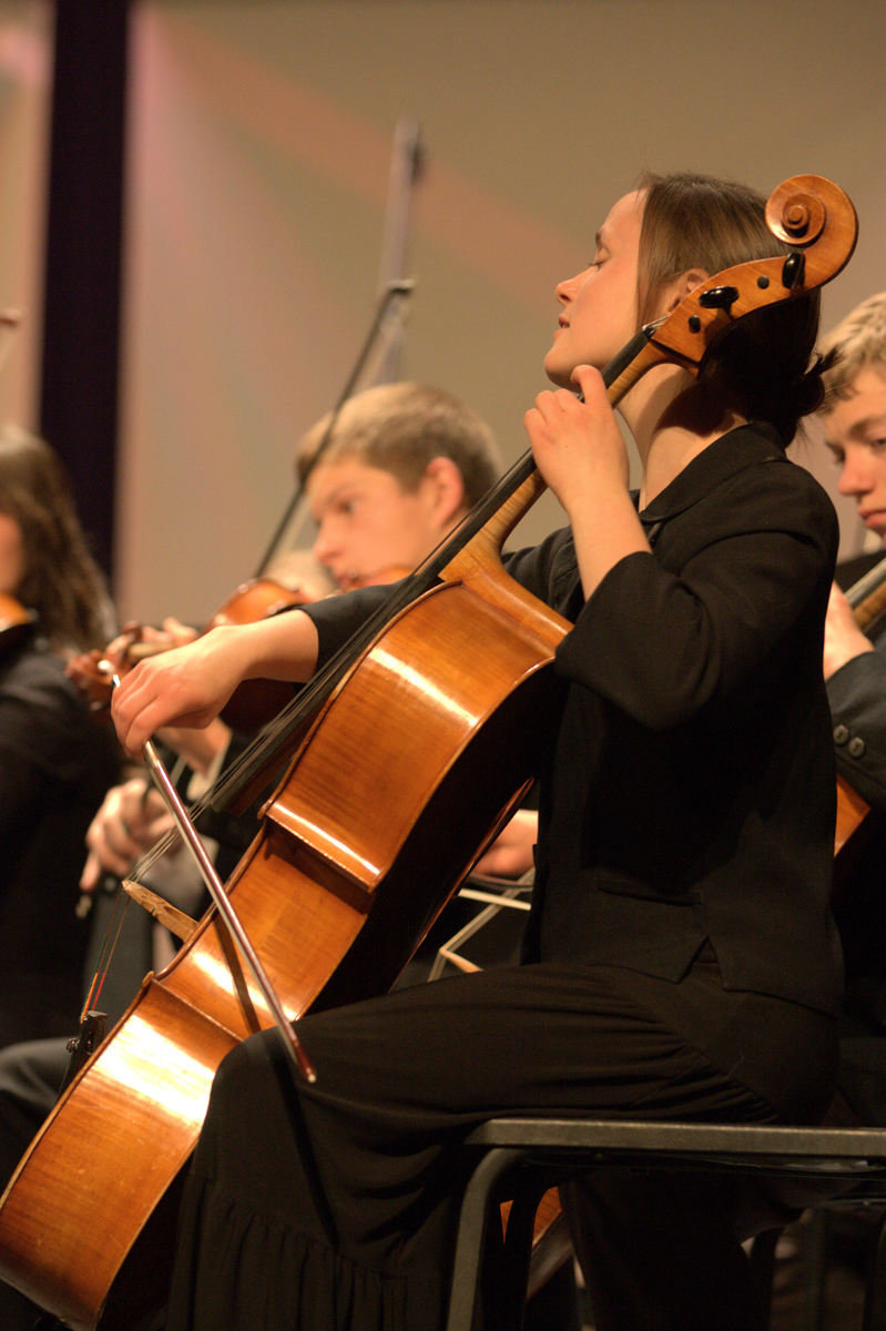 Image: String Orchestra