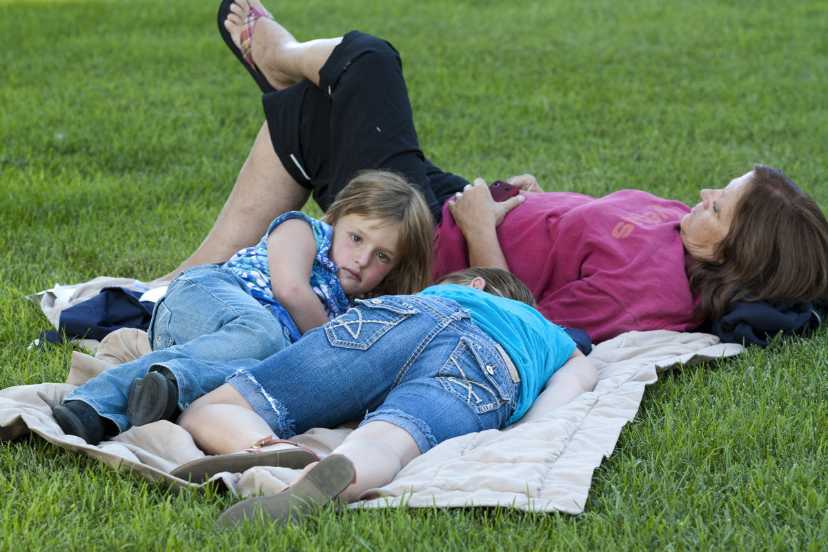 Image: Concert goers enjoy the show.