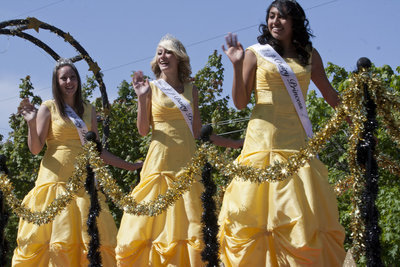 Image: Cache County Dairy Princesses